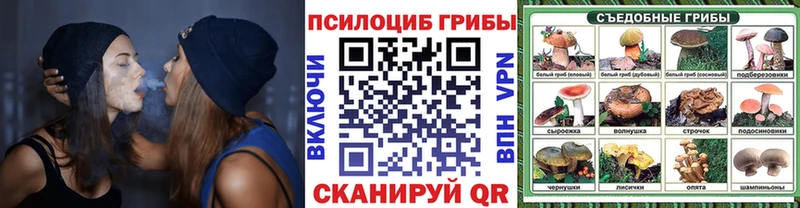 Псилоцибиновые грибы Psilocybine cubensis  Камышин 